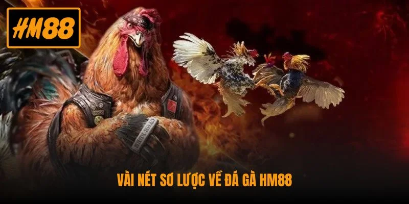 Lý do anh em nên lựa chọn HM88 làm nơi gửi gắm niềm đam mê